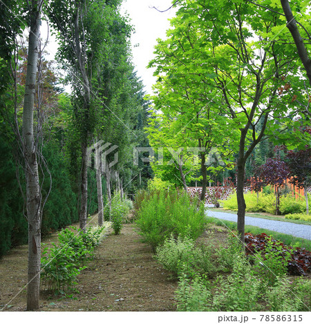 北海道　真鍋庭園 78586315