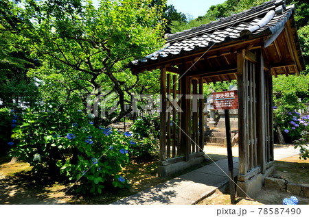 本光寺 御先祖堂 本光寺 御先祖堂 78587490