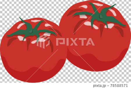 2 tomatoes 2 tomatoes 78588571
