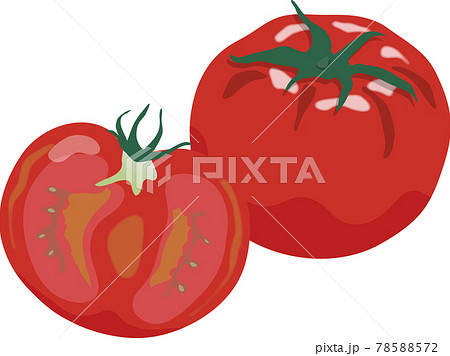 Tomatoes and cut tomatoes - Stock Illustration [78588572] - PIXTA