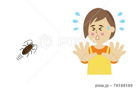 ゴキブリに驚く主婦のイラストイメージ 78588589