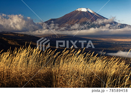 山中湖・鉄砲木ノ頭から見る朝の富士山 78589458