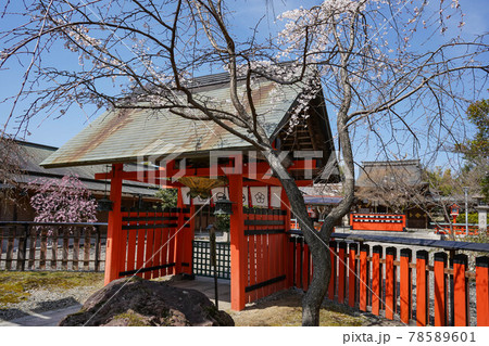 車折神社の参道と本殿 78589601
