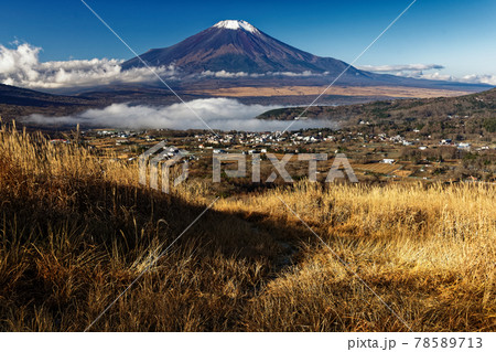 晩秋の高指山から見る山中湖と富士山の写真素材 [78589713] - PIXTA