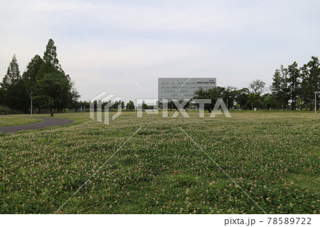研究学園駅前公園(茨城県つくば市) 研究学園駅前公園(茨城県つくば市) 78589722