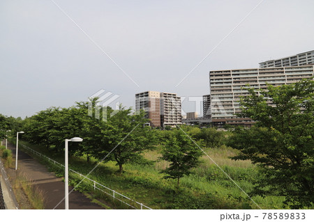 研究学園駅前公園の近郊風景(茨城県つくば市) 研究学園駅前公園の近郊風景(茨城県つくば市) 78589833
