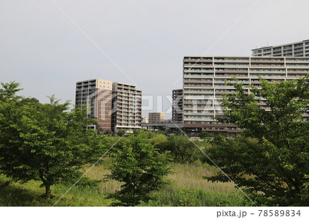 研究学園駅前公園の近郊風景(茨城県つくば市) 研究学園駅前公園の近郊風景(茨城県つくば市) 78589834