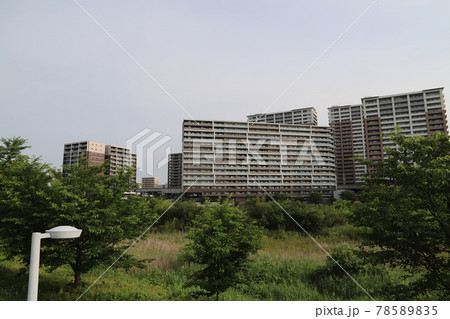 研究学園駅前公園の近郊風景(茨城県つくば市) 研究学園駅前公園の近郊風景(茨城県つくば市) 78589835