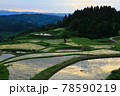 新潟の棚田 78590219