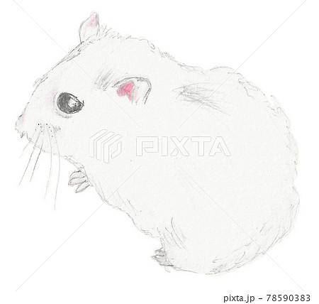 KREA  a hand drawn pencil sketch of a quizzical mouse black and white