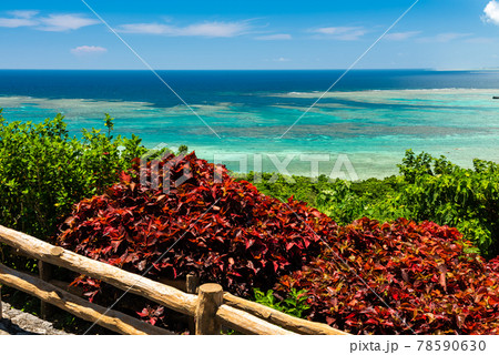 Top view of a stunning gradient blue to green ocean Top view of a stunning gradient blue to green ocean 78590630