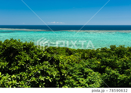 Incredible top view of emerald green sea at a paradise island. Incredible top view of emerald green sea at a paradise island. 78590632