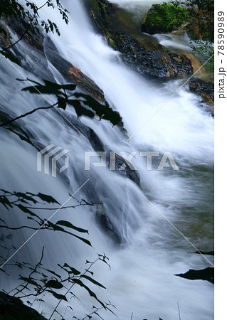 江竜田の滝(福島県・鮫川村) 江竜田の滝(福島県・鮫川村) 78590989