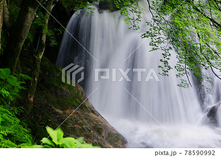 江竜田の滝（福島県・鮫川村） 78590992