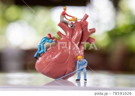 Miniature people Worker team examines the heart listen to a heartbeat and make a diagnosis Miniature people Worker team examines the heart listen to a heartbeat and make a diagnosis 78591026