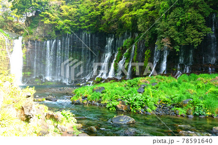 日本三大名瀑の観光名所の定番、伊豆・白糸の滝(世界遺産の構成資産)【静岡県富士宮市】 日本三大名瀑の観光名所の定番、伊豆・白糸の滝(世界遺産の構成資産)【静岡県富士宮市】 78591640