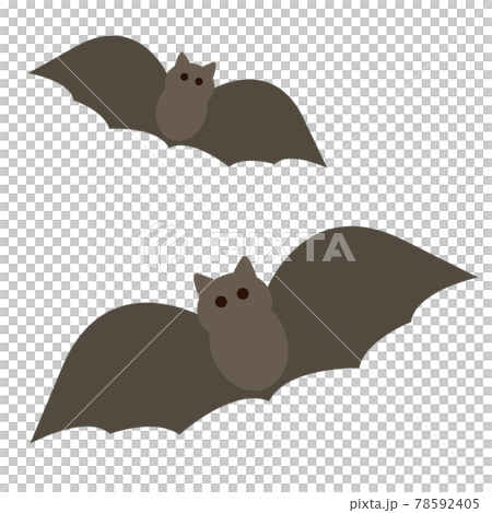Bat 78592405
