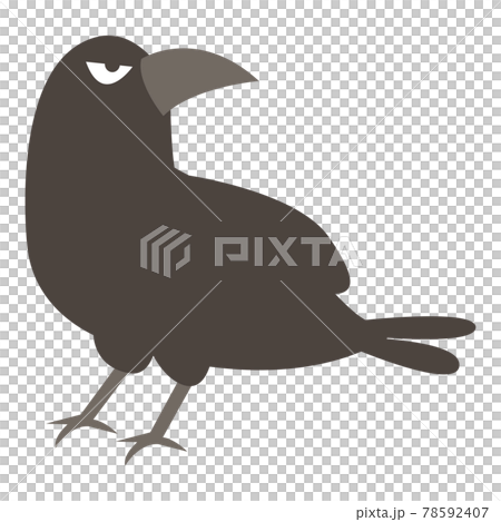 カラス カラス 78592407