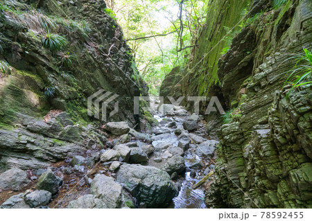 棒ノ折山の沢登り(白谷沢コース) 棒ノ折山の沢登り(白谷沢コース) 78592455