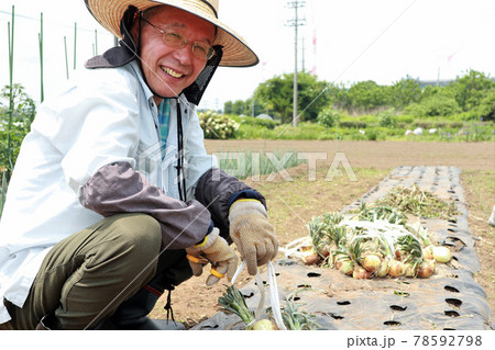 畑仕事の男性 78592798