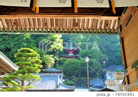 宝山寺 中門、多宝塔を望む 宝山寺 中門、多宝塔を望む 78592891