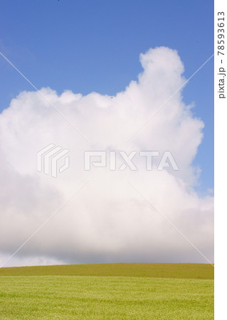 畑の上に沸きあがる入道雲_象の鼻のような 畑の上に沸きあがる入道雲_象の鼻のような 78593613