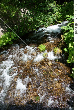 夏の川面_真上から 夏の川面_真上から 78594085