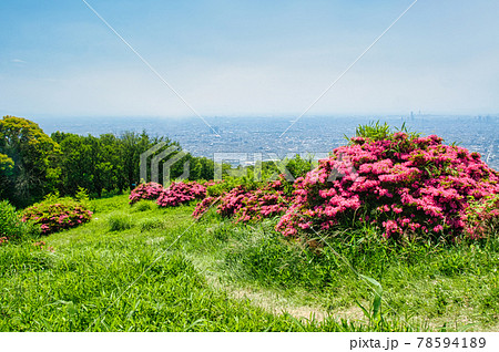 府民の森なるかわ園地　生駒・大原山から東大阪市街を望む　　 78594189
