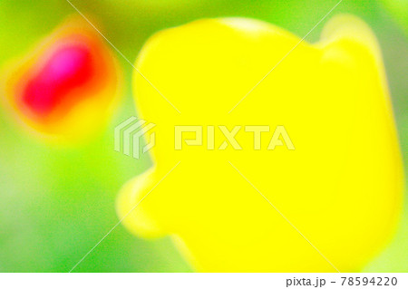 ピンボケ 78594220