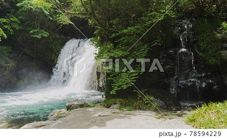 横から見る初景滝【河津七滝】／静岡県賀茂郡河津町【富士箱根伊豆国立公園】 78594229