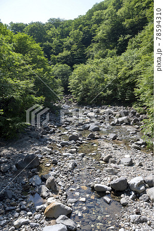 栃木県那須の林道奥の渓流の風景 栃木県那須の林道奥の渓流の風景 78594310
