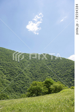 栃木県那須、深山ダム周辺の山の風景 栃木県那須、深山ダム周辺の山の風景 78594384