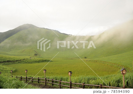 曽爾高原の夏 【奈良県宇陀郡曽爾村】 曽爾高原の夏 【奈良県宇陀郡曽爾村】 78594390