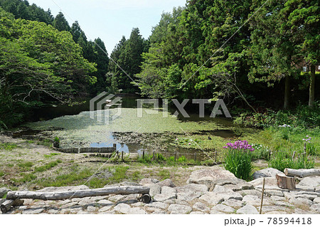 山口県ふれあいパークの池 山口県ふれあいパークの池 78594418
