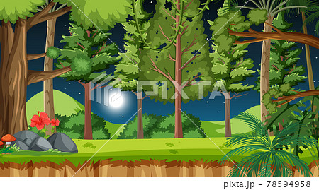 Nature forest at night scene with many trees 78594958