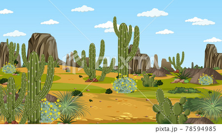 Desert forest landscape at daytime scene with many cactuses 78594985