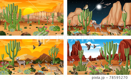 Different scenes with desert forest landscape with animals and plants 78595270
