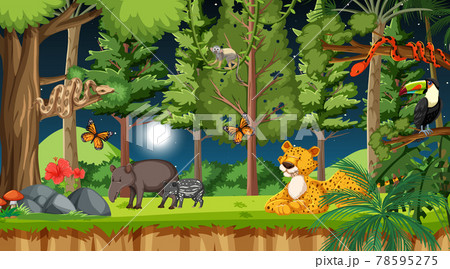 Forest at night scene with different wild animals 78595275