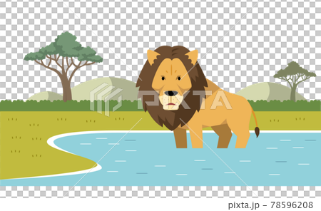 ライオンと水辺のイラスト素材のイラスト素材 ライオンと水辺のイラスト素材のイラスト素材