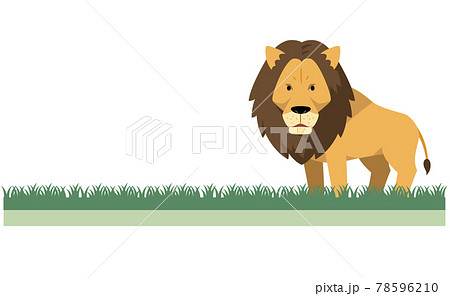 ライオンと草地のイラスト素材のイラスト素材