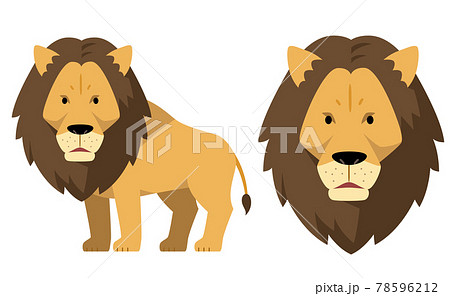 ライオンとライオンの顔のイラスト素材のイラスト素材