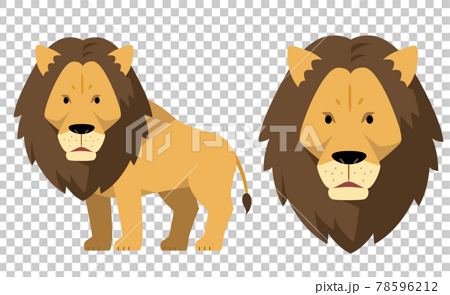 ライオンとライオンの顔のイラスト素材のイラスト素材