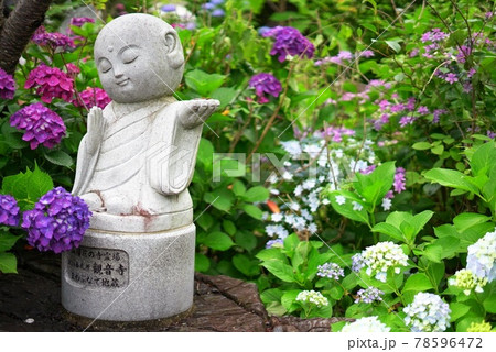 広島市観音寺のお地蔵さんと紫陽花の花の写真素材