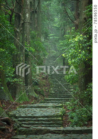 和歌山県 大門坂 新緑 和歌山県 大門坂 新緑 78596550