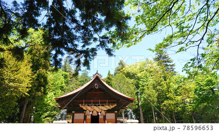 寺と青空 寺と青空 78596653