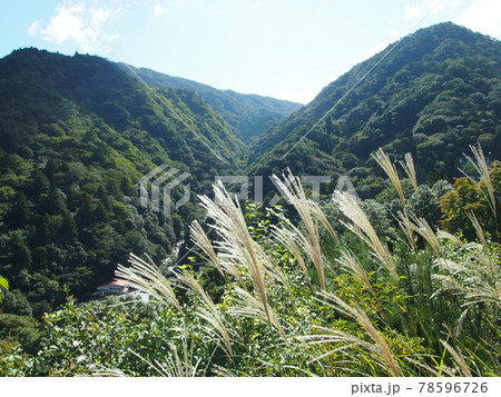 湯の山温泉 78596726