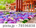 花手水 78596838