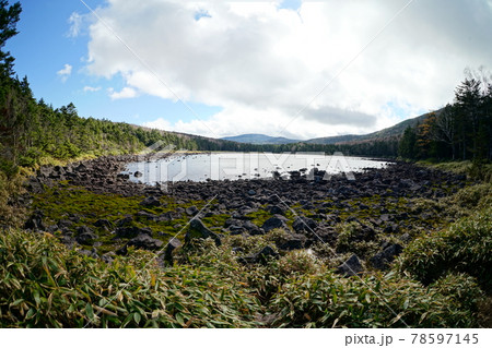 北八ヶ岳の雨池 78597145