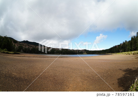 北八ヶ岳の雨池 北八ヶ岳の雨池 78597161