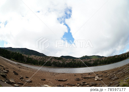 北八ヶ岳の雨池 北八ヶ岳の雨池 78597177